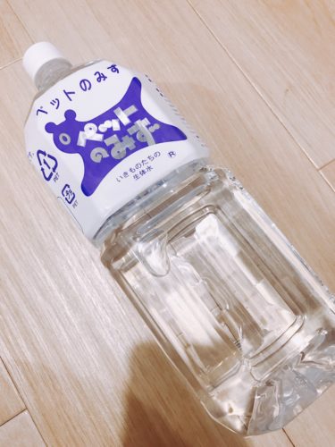 【ペット専用飲料水】ペットのみずをチンチラにあげてみた。人間が飲む水とどう違う？